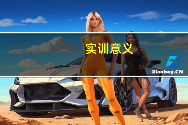 实训意义