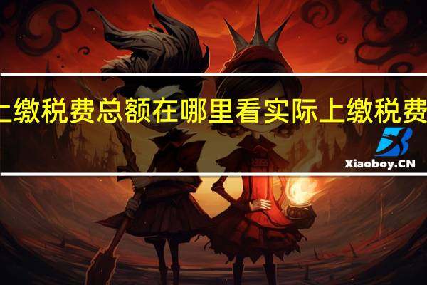 实际上缴税费总额在哪里看实际上缴税费总额怎么算
