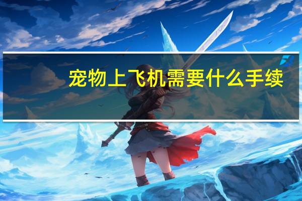 宠物上飞机需要什么手续