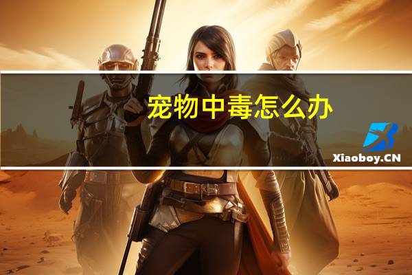 宠物中毒怎么办