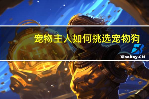宠物主人如何挑选宠物狗