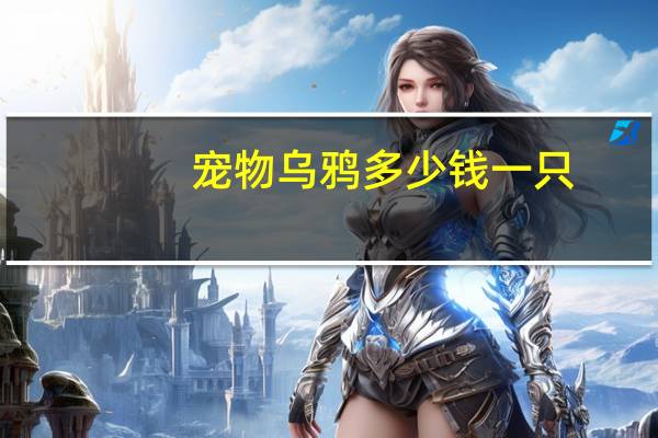 宠物乌鸦多少钱一只