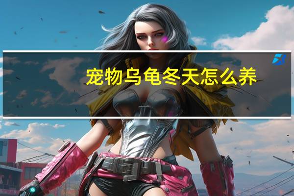 宠物乌龟冬天怎么养