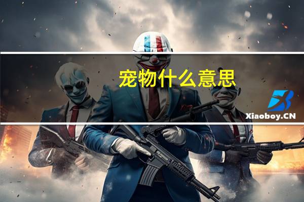 宠物什么意思
