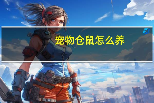 宠物仓鼠怎么养