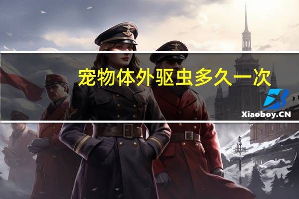 宠物体外驱虫多久一次