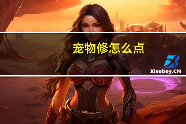 宠物修怎么点