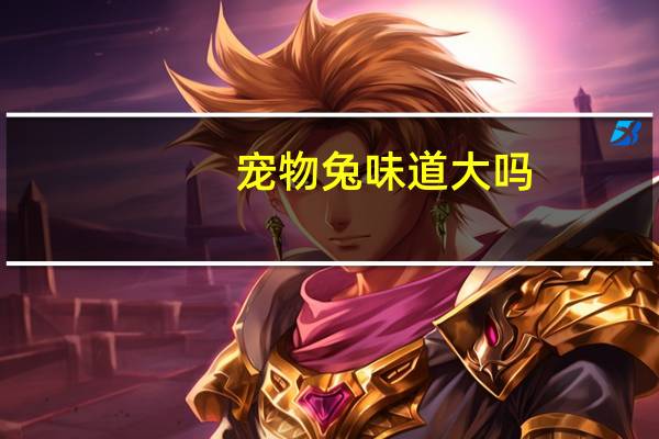 宠物兔味道大吗