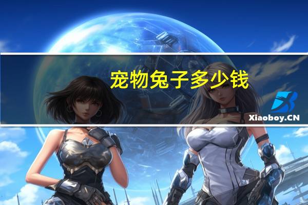 宠物兔子多少钱