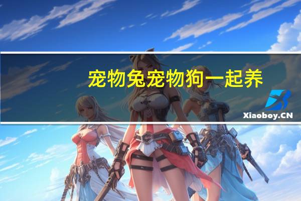 宠物兔宠物狗一起养