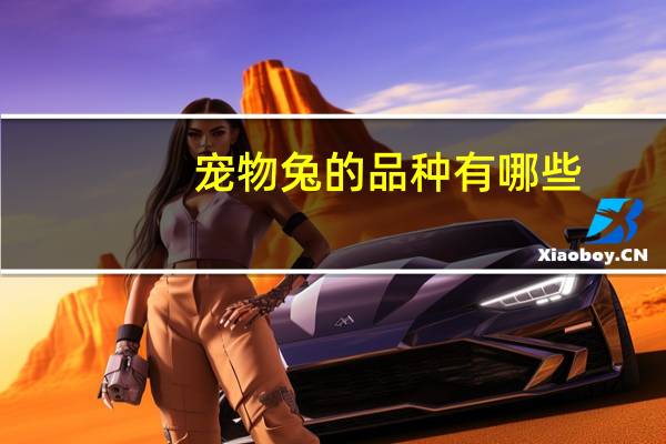 宠物兔的品种有哪些