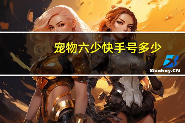 宠物六少快手号多少