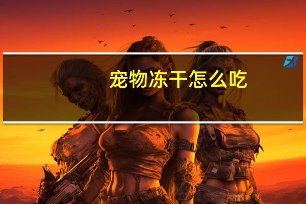 宠物冻干怎么吃