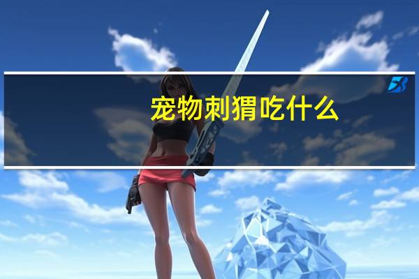 宠物刺猬吃什么