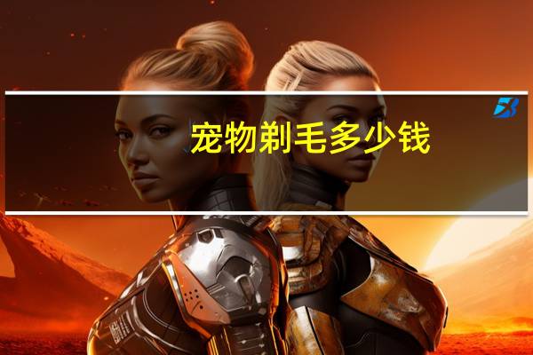 宠物剃毛多少钱