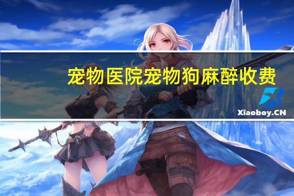 宠物医院宠物狗麻醉收费