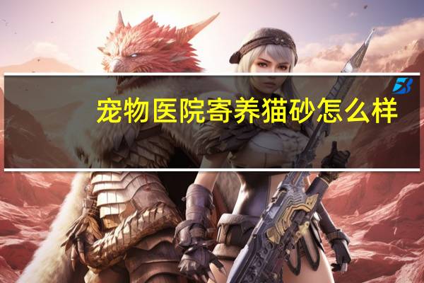 宠物医院寄养猫砂怎么样