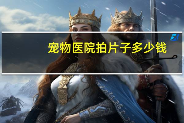宠物医院拍片子多少钱