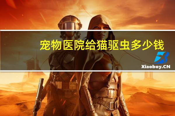 宠物医院给猫驱虫多少钱