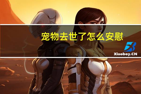 宠物去世了怎么安慰