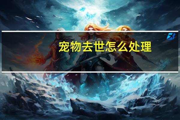宠物去世怎么处理