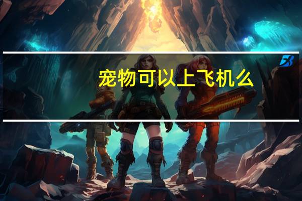宠物可以上飞机么