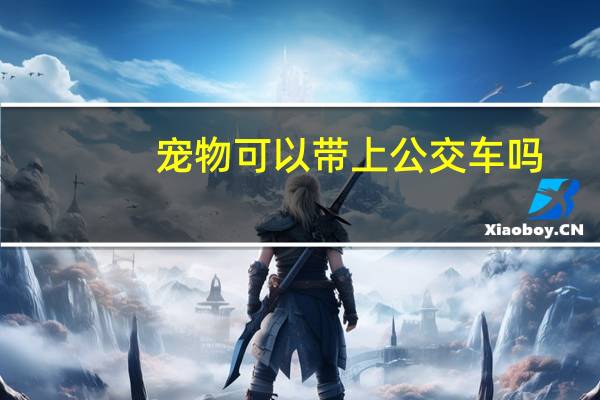 宠物可以带上公交车吗