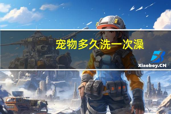 宠物多久洗一次澡