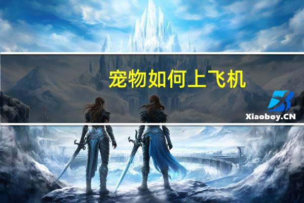 宠物如何上飞机