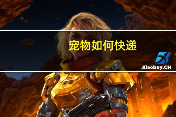 宠物如何快递