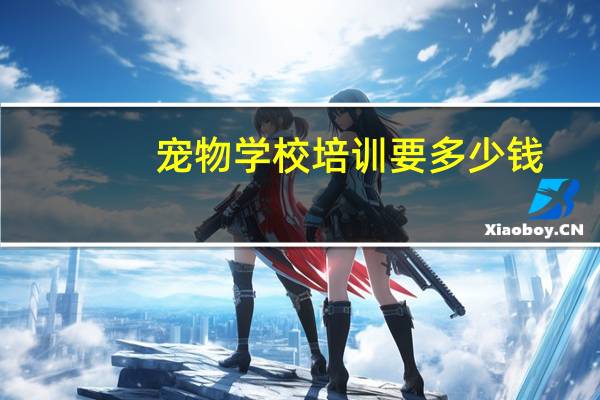 宠物学校培训要多少钱