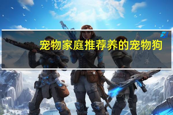 宠物家庭推荐养的宠物狗