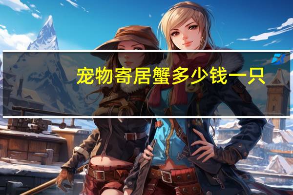 宠物寄居蟹多少钱一只