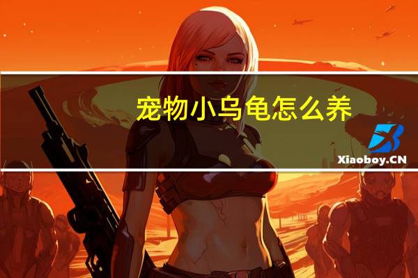 宠物小乌龟怎么养