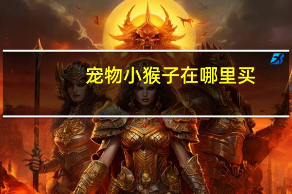 宠物小猴子在哪里买