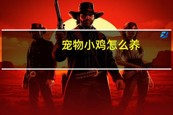 宠物小鸡怎么养