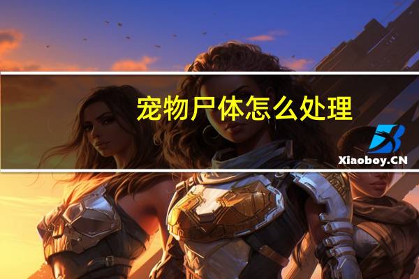 宠物尸体怎么处理