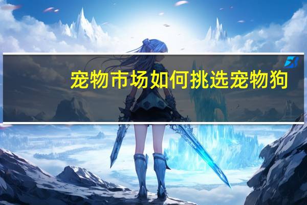 宠物市场如何挑选宠物狗
