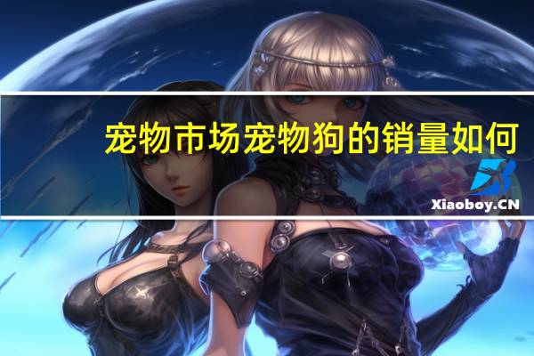 宠物市场宠物狗的销量如何