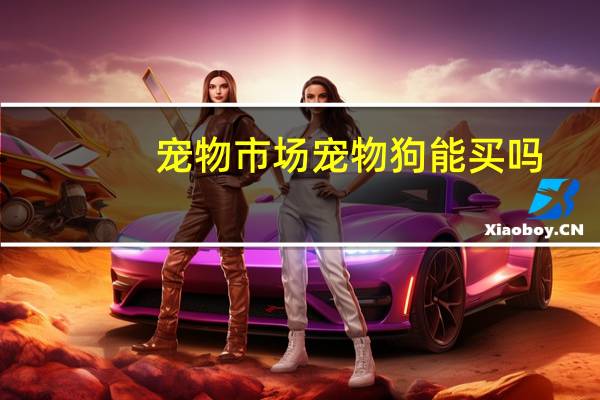 宠物市场宠物狗能买吗