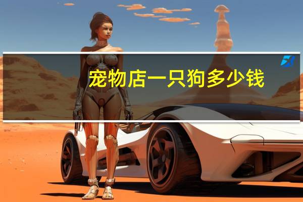 宠物店一只狗多少钱