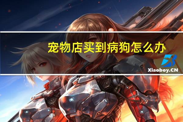 宠物店买到病狗怎么办