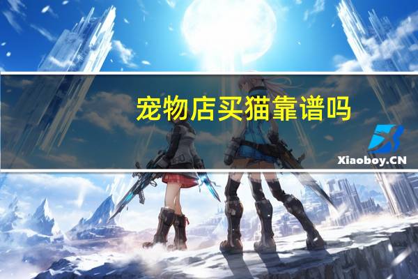 宠物店买猫靠谱吗