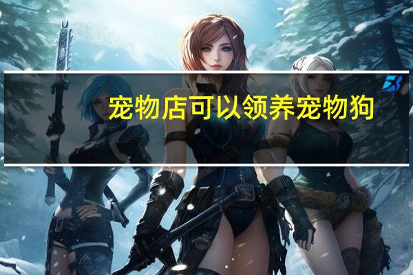 宠物店可以领养宠物狗