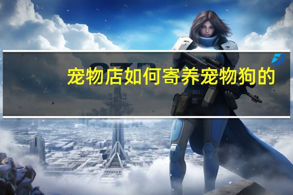 宠物店如何寄养宠物狗的