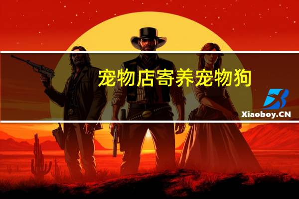 宠物店寄养宠物狗