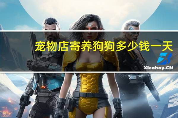 宠物店寄养狗狗多少钱一天