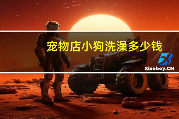 宠物店小狗洗澡多少钱