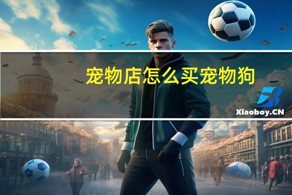 宠物店怎么买宠物狗
