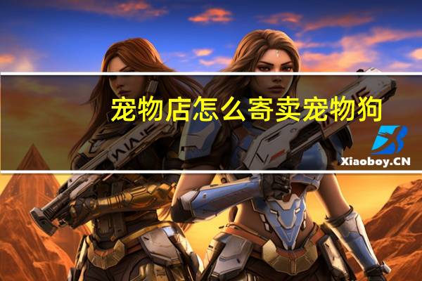 宠物店怎么寄卖宠物狗